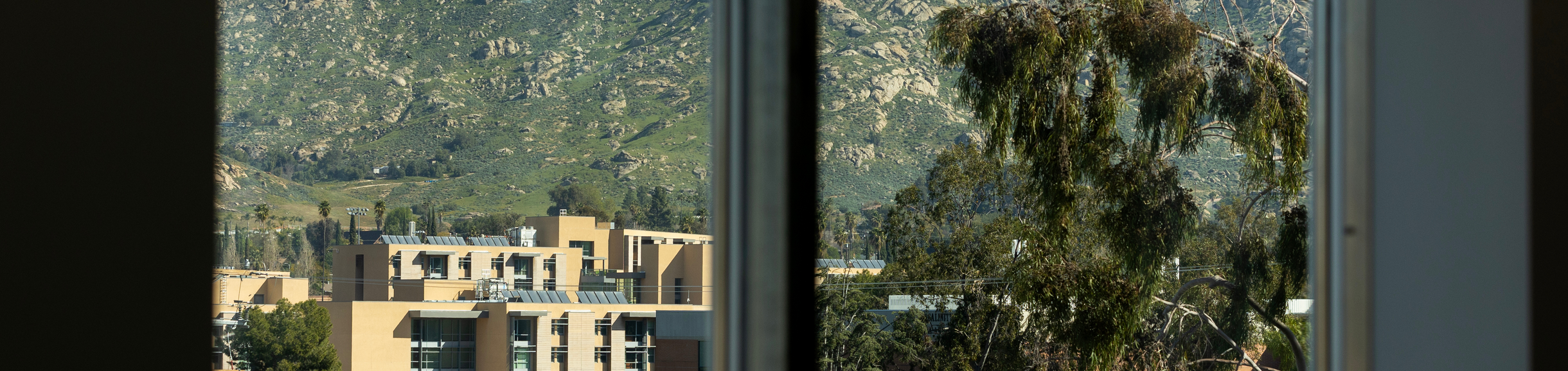 A view of a campus building in the foreground and a mountain in the background through a window sill.