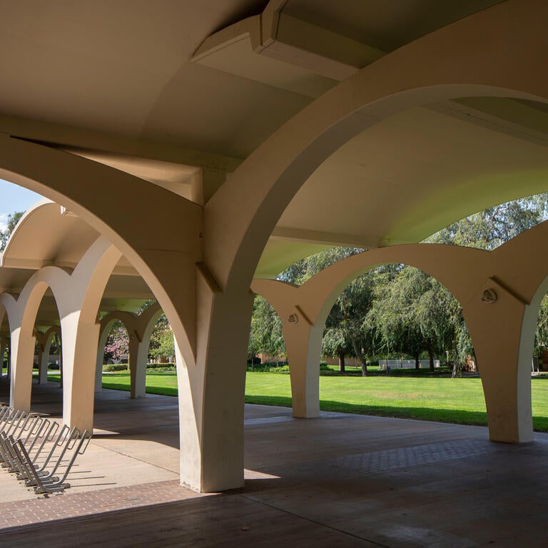 Structural arches on a pathway surrounded by grassy lawns